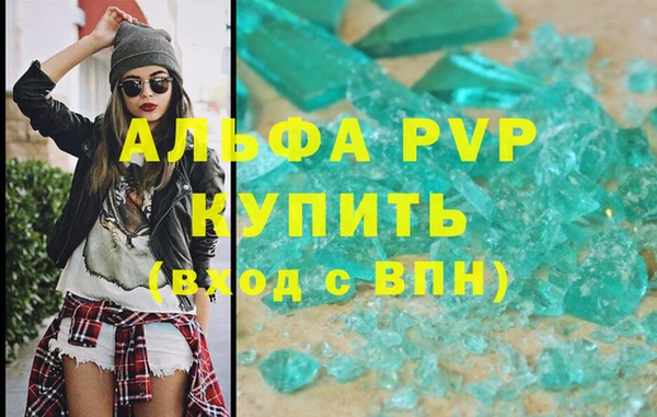 spice Богородск